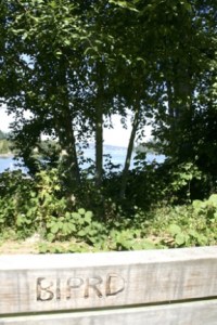 T’Chookwap Park’s lone amenity