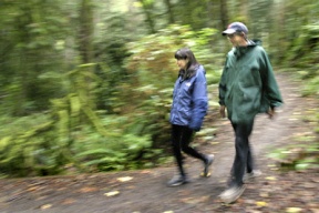 The peripatetic Alice and Dave Shorett take a walk through the Grand Forest