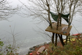 The treehouse near Seabold Road must come down