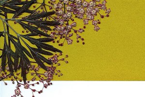 First Friday Art Walk: Pressed flowers adorn library walls