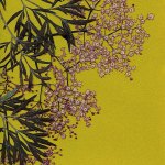 First Friday Art Walk: Pressed flowers adorn library walls
