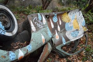 Bainbridge Parks Foundation brokers Waypoint Woods, a new 3-acre downtown park