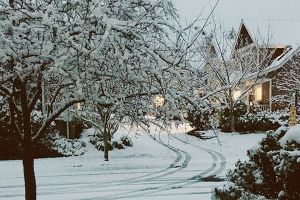 Snowstorm hits region; Bainbridge schools closed Friday