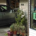 Bainbridge driver crashes Lexus into front of antique boutique