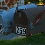 Calendar sales set a record | Letter to the editor