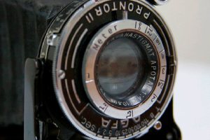 Five of anything is the topic for Bainbridge Island Photo Club