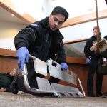 A scene of controlled chaos | Gallery