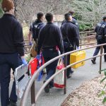 A scene of controlled chaos | Gallery