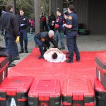 A scene of controlled chaos | Gallery