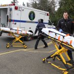 A scene of controlled chaos | Gallery