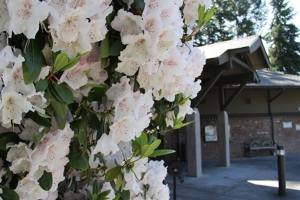 Career help offered at the Bainbridge Public Library