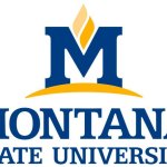 Island students stand out at MSU