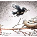 Trump’s first week in office: In cartoons