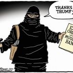 Trump’s wall and Muslim ban, in cartoons | The view from here