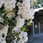 Baby Storytime returns to the library