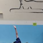 Island boys win big at gymnastics meets