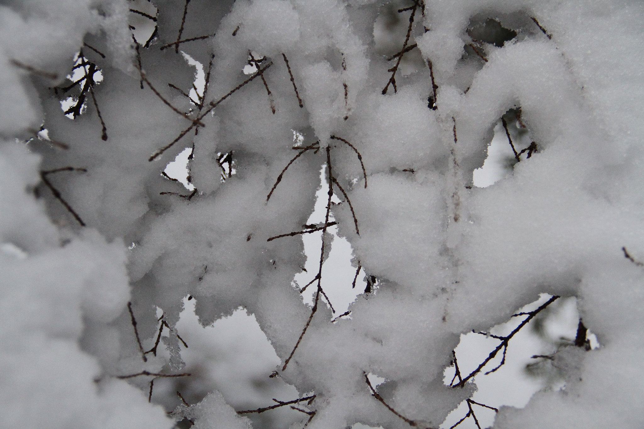 National Weather Service announces winter storm warning