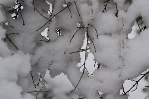 National Weather Service announces winter storm warning