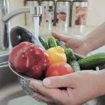 Eating right: Make sure you stay healthy when you are dieting | Kitsap Living