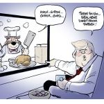 Trump’s fourth week in office | In cartoons
