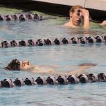 Spartans at State, Preliminary Races, Part 2 | Photo gallery