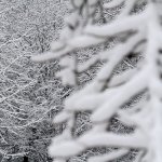 Snow day #2 for island students: School closed Tuesday due to weather