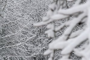 Snow day #2 for island students: School closed Tuesday due to weather