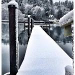 Snowbound Bainbridge — our favorite photos from the blizzard | GALLERY