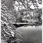 Snowbound Bainbridge — our favorite photos from the blizzard | GALLERY