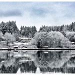 Snowbound Bainbridge — our favorite photos from the blizzard | GALLERY