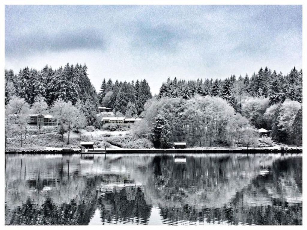 Snowbound Bainbridge — our favorite photos from the blizzard | GALLERY