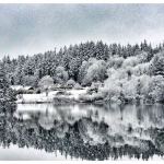 Snowbound Bainbridge — our favorite photos from the blizzard | GALLERY