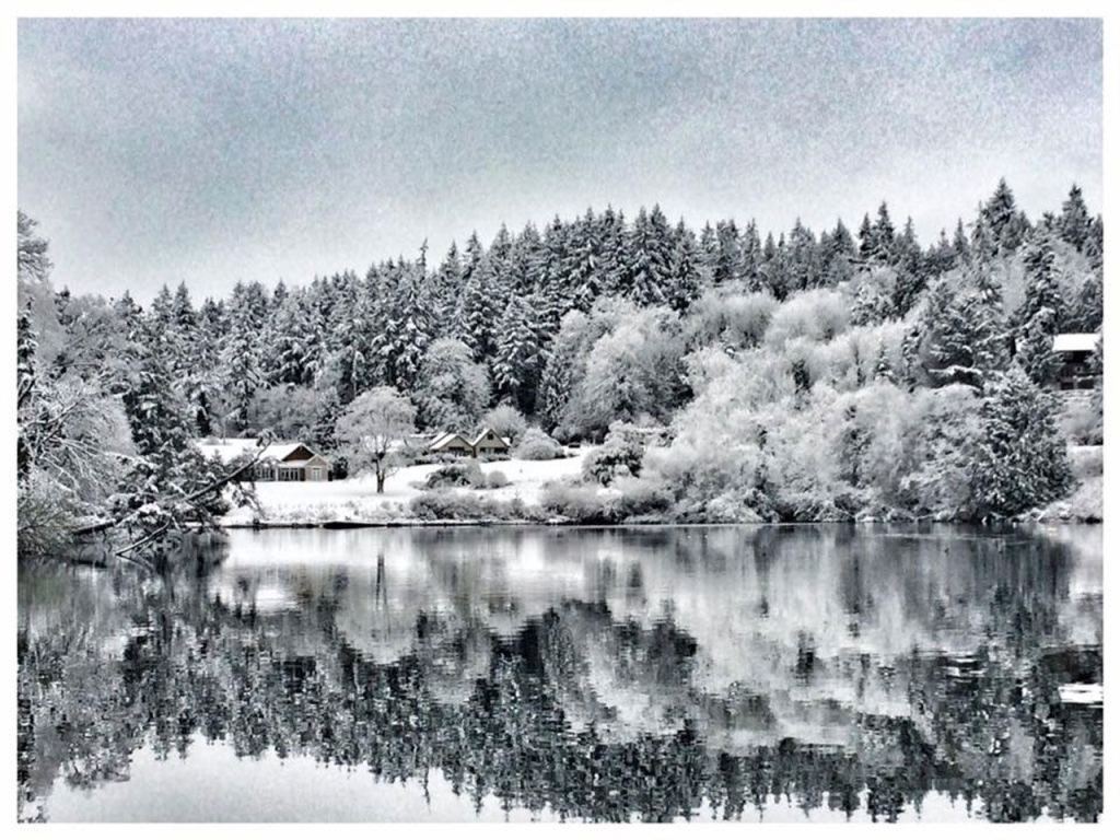 Snowbound Bainbridge — our favorite photos from the blizzard | GALLERY