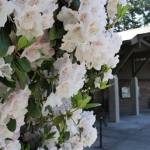 Teen Space returns this week to the Bainbridge Public Library
