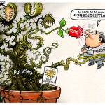 Trump’s sixth week in office | In cartoons