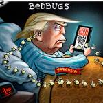 President Tweet | In cartoons