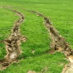 Vandalism in parks prompts crackdown