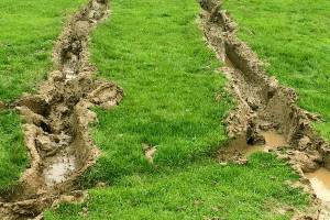 Vandalism in parks prompts crackdown