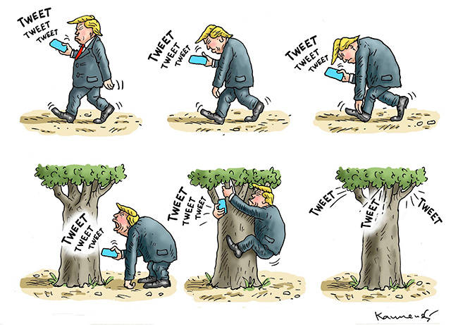 Trump’s seventh week in office | In cartoons