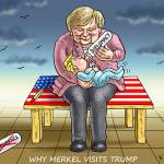 Trump’s eighth week in office | In cartoons
