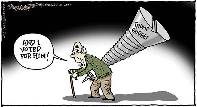 Trump’s eighth week in office | In cartoons