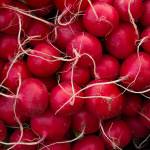 Welcome back, BI Farmers Market