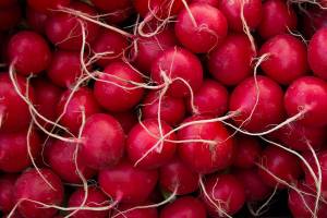 Welcome back, BI Farmers Market
