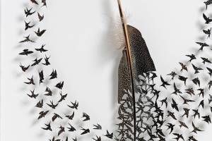 A flock of festive spring shows open at BIMA