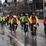 Chilly Hilly (and rainy, too) | GALLERY