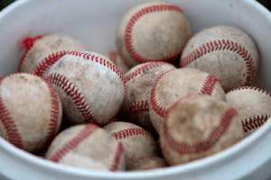 Latest baseball outing postponed by poor field conditions | The Bainbridge Blab
