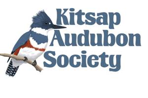 Noted photographer to talk at next Kitsap Audubon meeting