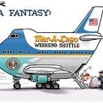 Trump’s 12th week in office | In cartoons