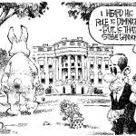 Trump’s 12th week in office | In cartoons