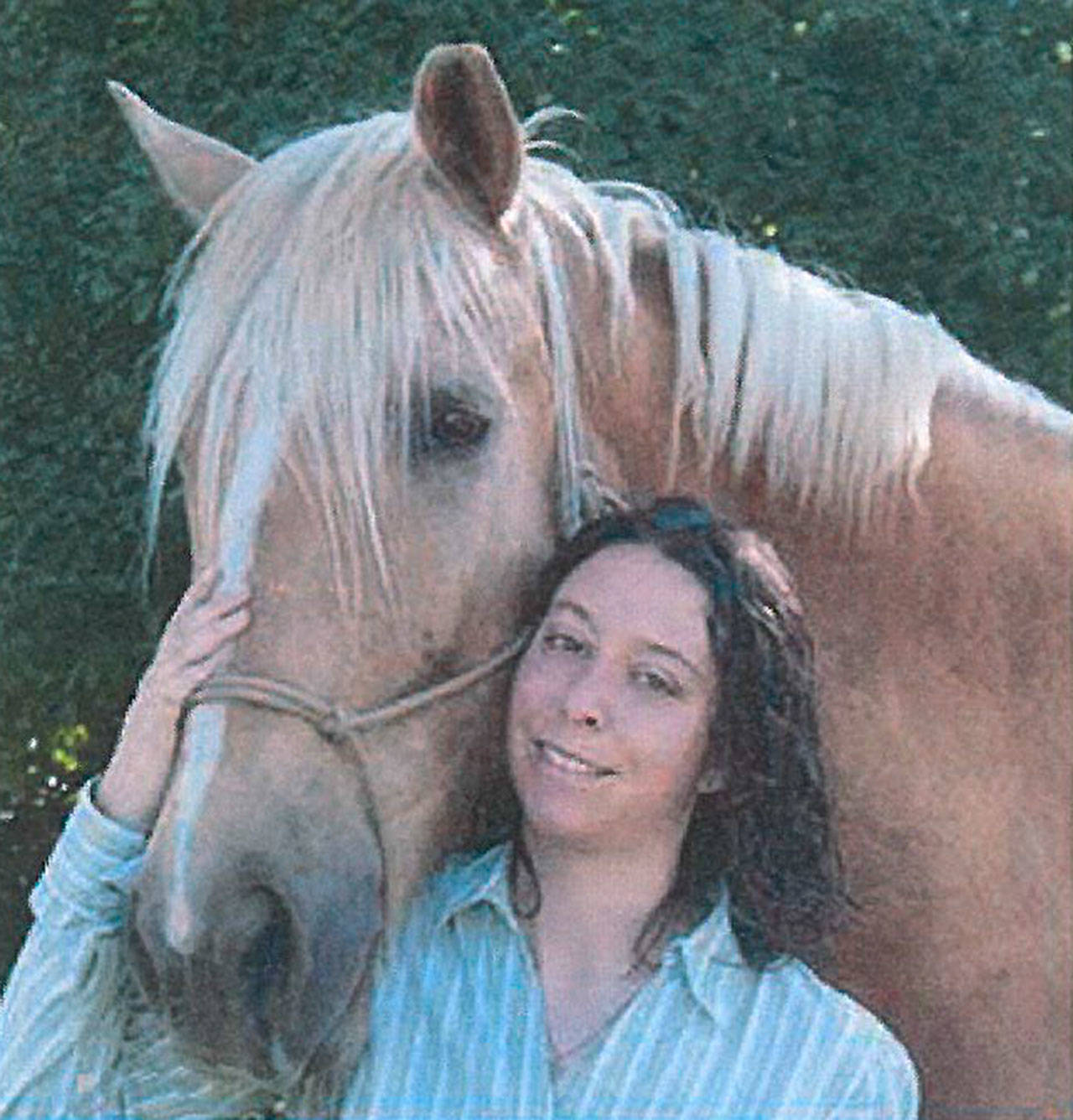 Horse journey will make stop on island